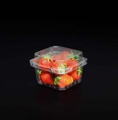 Hộp Nhựa P250A / Hộp đựng dâu, cherry, cà chua bi